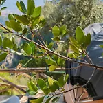 & Glamping Santa Fortunata Кемпинг *
