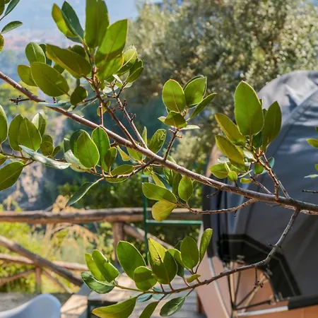& Glamping Santa Fortunata אתר קמפינג *